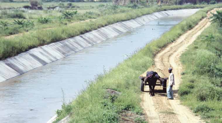 The Munak Canal in Sonipat is a major source of water for Delhi. (Express Photo: Manoj Kumar)