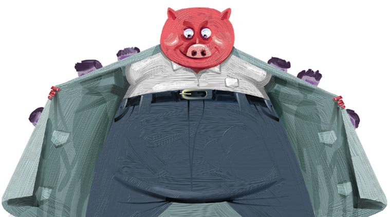 According to RBI estimates, the top 30 loan defaulters currently account for one-third of the total gross NPAs of PSBs.