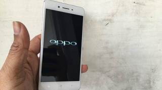 Oppo, Oppo F1, Oppo F1 review, Oppo F1 #ExpressReview, Oppo F1 specs, Oppo F1 price, Oppo F1 features, mobiles, Android, tech news, technology