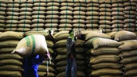 paddy prices, paddy, Odisha paddy cultivation, odisha assembly debate on paddy price, Pradeep Kumar Maharathy, indian express news