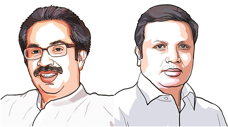 budget, union budget, shiv sena on budget, devendra fadnavis on budget