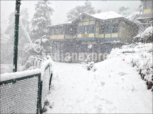 Snowfall, Snow, Heavy Snowfall, Snowfall in Shimla, Snowfall in Himachal, Heavy Snowfall in Shimla, First Snowfall of Season, Snowfall in Shimla pics