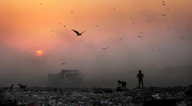 Nurse, ragpicker, ragpicker to nurse, Yavatmal woman to tie knot, Yavatmal nurse, Maharashtra news, India news, latest news, Indian express
