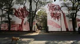 lodhi colony, delhi lodhi colony, street art festival, indian express talk