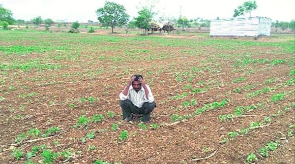 farmer suicide, zero suicide mission, farmers in mahrashtra, farmers suicide in maharashtra, maharashtra drought