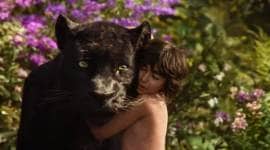 The Jungle Book trailer, the Jungle Book Movie Trailer, The Jungle Book, The Jungle Book Film trailer, The Jungle Book Film, The Jungle Book Live Action, Neel Sethi, Mowgli, Bagheera, Shere Khan, Baloo, Kaa, Idris Elba, Ben Kingsley, Bill Murray, Scarlett Johansson, Christopher Walken, The Jungle Book Series, Entertainment news