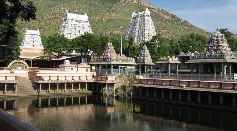 A view of the Tiruvannamalai temple. Image: WikiMedia Commons