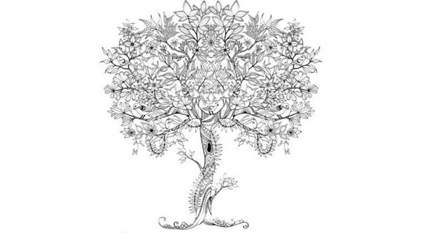 An Illustration From Johanna Basfords A Secret Garden