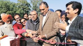 Punjab civic polls, civic polls, reserved wards, wife tickets, india news, indian express