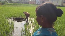 Vellore college explosion, vellore explosion, College explosion in vellore, Tamil Nadu Chief minister J Jayalalithaa, Tamil Nadu CM J Jayalalithaa, Tamil Nadu Chief minister, J Jayalalithaa, Jayalalithaa, meteorite fall, meteorite fall vellore, engineering college, 's public relief fund, Tamil nadu news, vellore news, India news