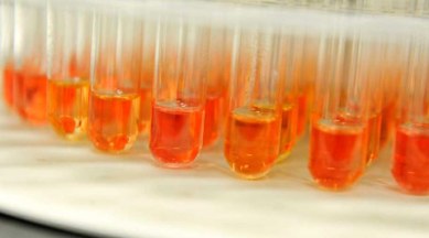 virus, virus treatment, virus drug delivery, science news, science research, cell virus delivery, news virus delivery, virus drug delivery research, drug delivery