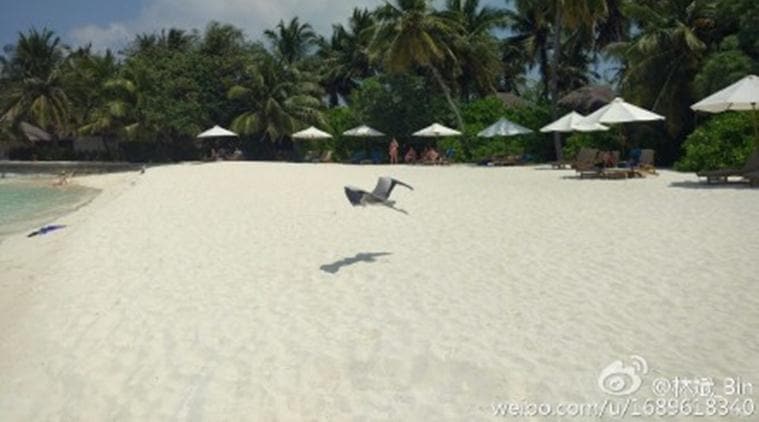 Xiaomi, Xiaomi Mi 5, Xiaomi Mi 5 camera samples, Xiaomi Mi 5 smartphone leak, Xiaomi Mi 5 specs, Xiaomi Mi 5 features, Xiaomi Mi 5 price, Android, mobiles, tech news, technology