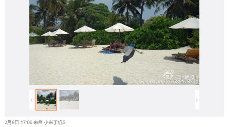 The camera samples posted on Weibo by Xiaomi President clearly indicate that they are shot with Mi 5 smartphone (Source: Lin Bin/Weibo)