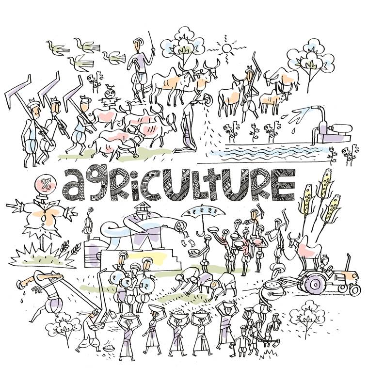AGRICULTURE