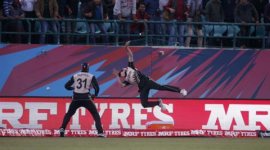 AusvsNZT Australia vs New Zealand, New Zealand vs Australia, Australia New Zealand, New Zealand Australia, Aus vs NZ, NZ vs AUs, World T20, T20 World Cup, Cricket News, Cricket