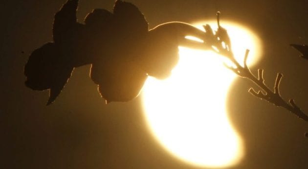 solar eclipse photos, total solar eclipse pictures, total solar eclipse solar eclipse pictures, indonesia solar eclipse, solar eclipse india, india solar eclipse, india solar eclipse pictures, insia solar eclipse pictures, indonesia solar eclipse pictures, indonesia solar eclipse photos, full solar eclipse pictures