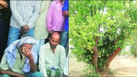 jharkhnad, latehar, latehar killings, latehar lynching, latehar muslim cattle owner killings, latehar cattle owner killing, bjp, raghubir das, gaurakshak, cow activist, jharkhand news, india news,