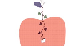 gm crops, bt cotton, india gm crops, genetically modified crops, gm seeds, india cotton production, india bt cotton, india gm cotton, india news