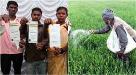 budget 2016, budget farm policy, budget fertilizer subsidy, subsidy reforms, fertiliser subsidy dbt, aadhaar fertilizer subsidy, Direct Benefit Transfer, Direct Benefit Transfer fertilizer subsidy india news, latest news