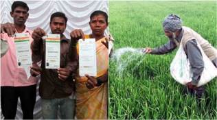 budget 2016, budget farm policy, budget fertilizer subsidy, subsidy reforms, fertiliser subsidy dbt, aadhaar fertilizer subsidy, Direct Benefit Transfer, Direct Benefit Transfer fertilizer subsidy india news, latest news