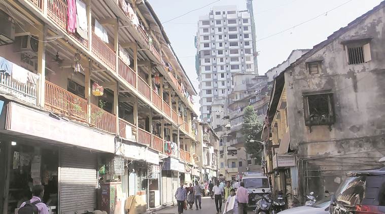Fanaswadi was named after the presence of jackfruit trees in the area 40 years ago. Vasant Prabhu Express photo by vasant Prabhu, 090316, Mumbai.