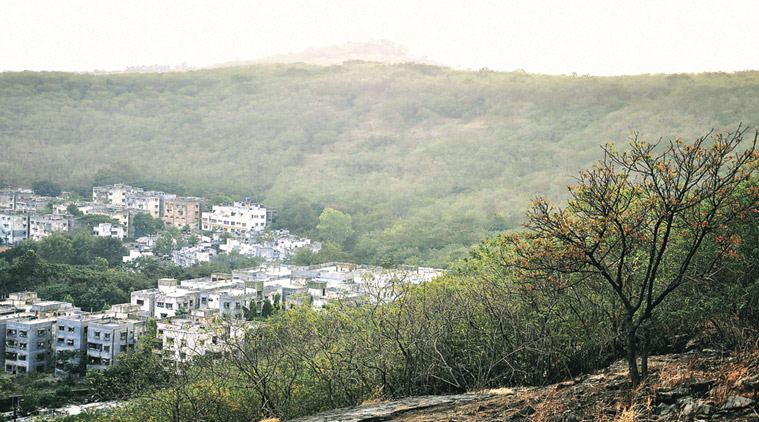 tribal forest, tribal forest land, community forest, village forest, pune news