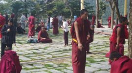 ICCWorldT20monksT cricket, cricket news, cricket world cup, world t20, t20 world cup, world cup news, dharamsala, cricket