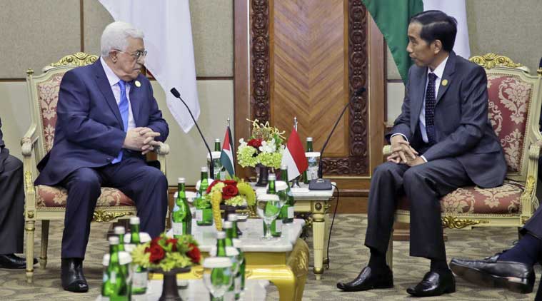 Indonesian President Widodo urges Muslim world to unite on Palestine