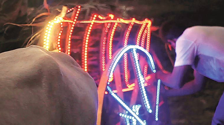 LED, LED lights,NCRB, farmers, farmer accident, DFPCL, mumbai news