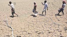 marathawada, marathawada farmer, marathawada suicide, farmer suicides, marathawada suicides, maharashtra farmer suicide, maharashtra news, india news