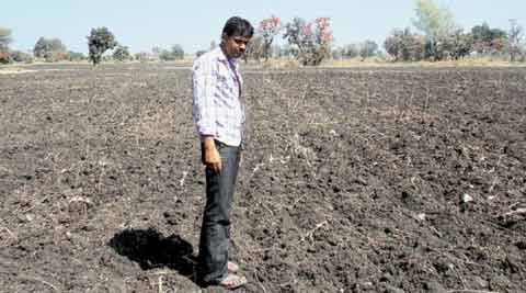 farmers black opium