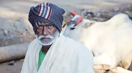 narmada-2 narmada dam, narmada river, Sardar Sarovar Dam , Atya Devji padvi, maharashtra govt, fadnavis govt, mumbai news