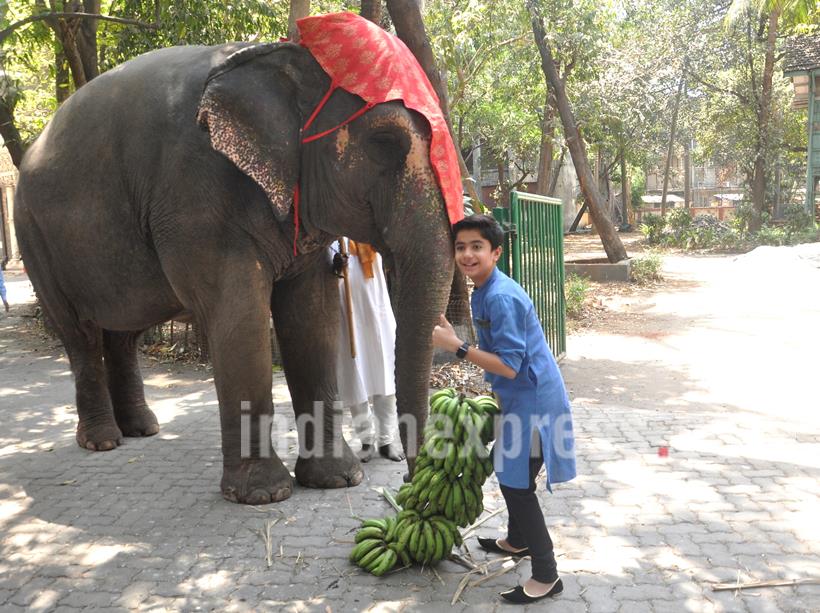 The Jungle Book, Neel Sethi, Neel Sethi photos,Vishal Bhardwaj, Siddharth Roy Kapur, Neel Sethi mowgali, Neel Sethi film, The Jungle Book actor, The Jungle Book news, The Jungle Book cast, entertainment news