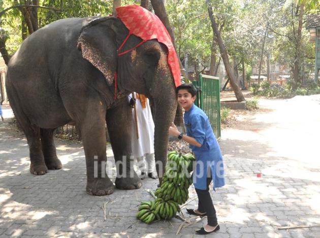 The Jungle Book, Neel Sethi, Neel Sethi photos,Vishal Bhardwaj, Siddharth Roy Kapur, Neel Sethi mowgali, Neel Sethi film, The Jungle Book actor, The Jungle Book news, The Jungle Book cast, entertainment news