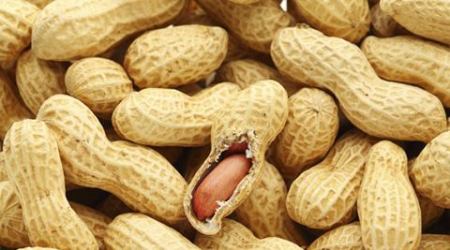 peanuts, peanuts health, peanuts health goodness, peanuts heart diseases, heart, heart health, peanuts heart stroke, heart stroke, health, lifestyle, indian express, indian express news