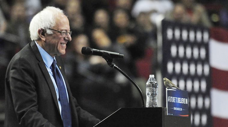 Bernie sanders, bird at sanders rally