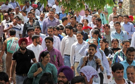 Sarkari naukri, RSMSSB