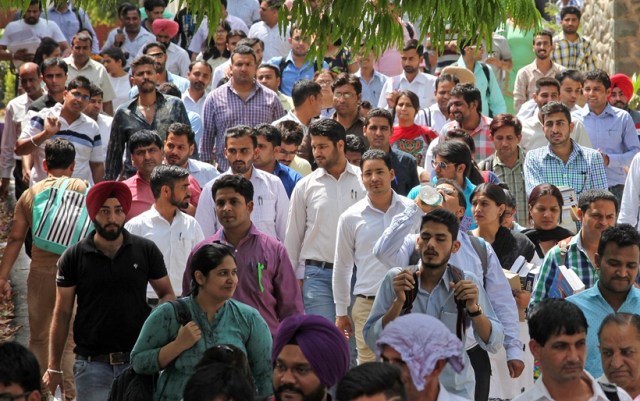 Sarkari naukri, RSMSSB