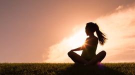 Yoga, suryanamaskar, Bombay High Court, Bombay HC, yoga in schools, Maharashtra govt, morning prayers, India news, latest news, Indian express