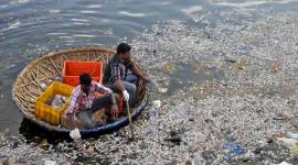 bengaluru, ulsoor lake, ulsoor lake pollution, ulsoor lake fish deaths, fish death ulsoor lake, bengaluru usloor lake, bangalore ulsoor lake, bengaluru news, india news, latest news