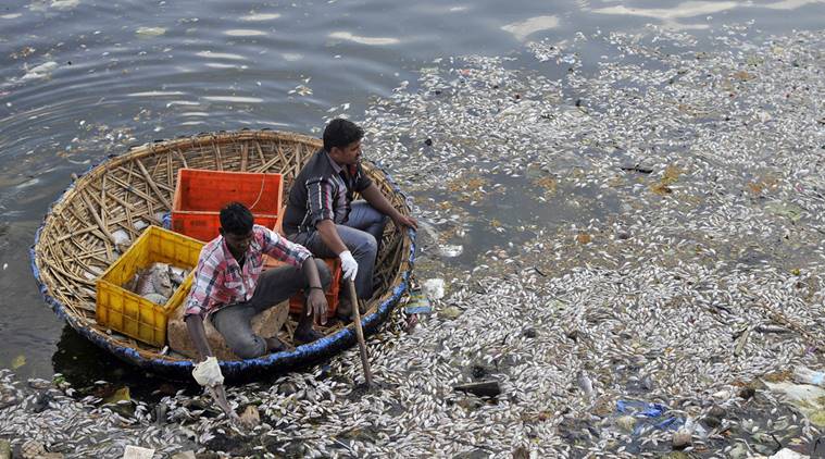 Municipal workers clear dead fish from the Ulsoor Lake in Bengaluru, India, March 7, 2016. The reason for the death of thousands of fish remains unclear. REUTERS/Abhishek Chinnappa TPX IMAGES OF THE DAY