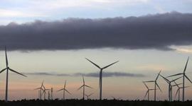 Obama administration, wind-turbine rule, death of goldern eagels in US, US news, death of goldern Eagle sin US, latest news, International news