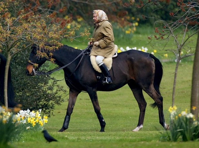 elizabeth II, queen elizabeth II, Britain queen, british queen, queen elizabeth 90th birthday, queen 90 birthday, queen elizabeth II 90 birthday, British queen 90th birthday, queen historical pictures, britain royal family, bitish royal family photos, britain news, england news, world news,