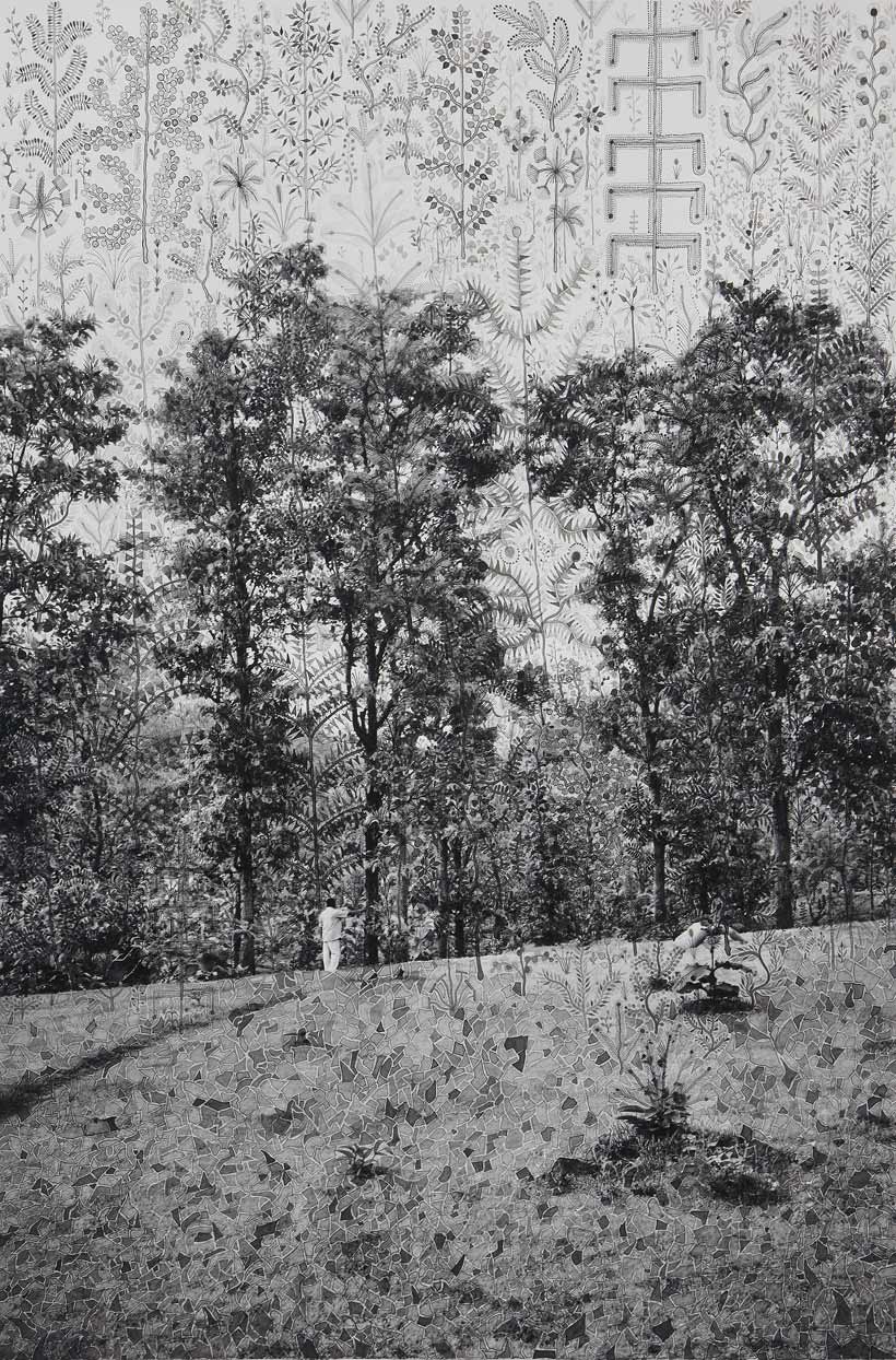 A Forest of Trees. From the series 'Fields of Sight', 2014/2016. (Photo credit: Gauri Gill and Rajesh Vangad)
