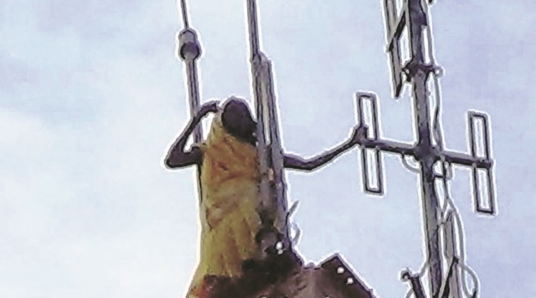 kevadia colony, narmada, woman climb narmada, indian express ahmedabad