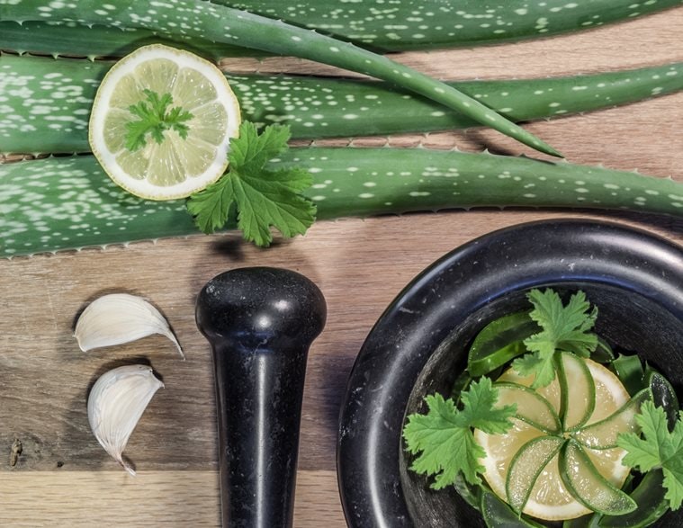 Aloe leaves with lemon, garlic, geranium and mortar.