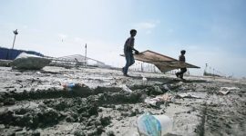 DDA, NGT, AOL, Art of living, World cultural festival, festival site, delhi news