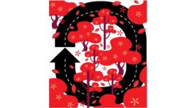 bastar, bastar violence, chhattisgarh, chhattisgarh naxals, chhattisgarh naxal violence, bastar naxals, dantewada, dantewada violence, chhattisgarh news, india news