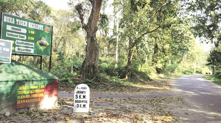Buxa Tiger Reserve, Buxa Tiger Reserve alipurduar, tiger in bengal, tiger west bengal, kolkata news,indian express, latest news