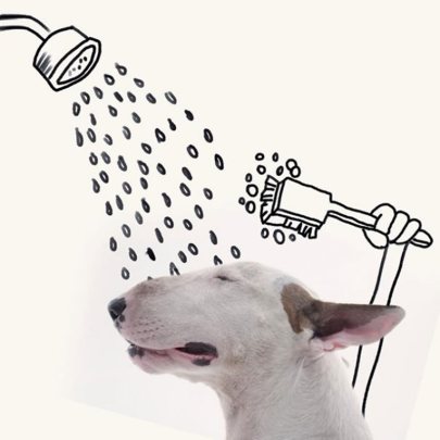 His ex-wife left him with just the dog; here’s what happened next